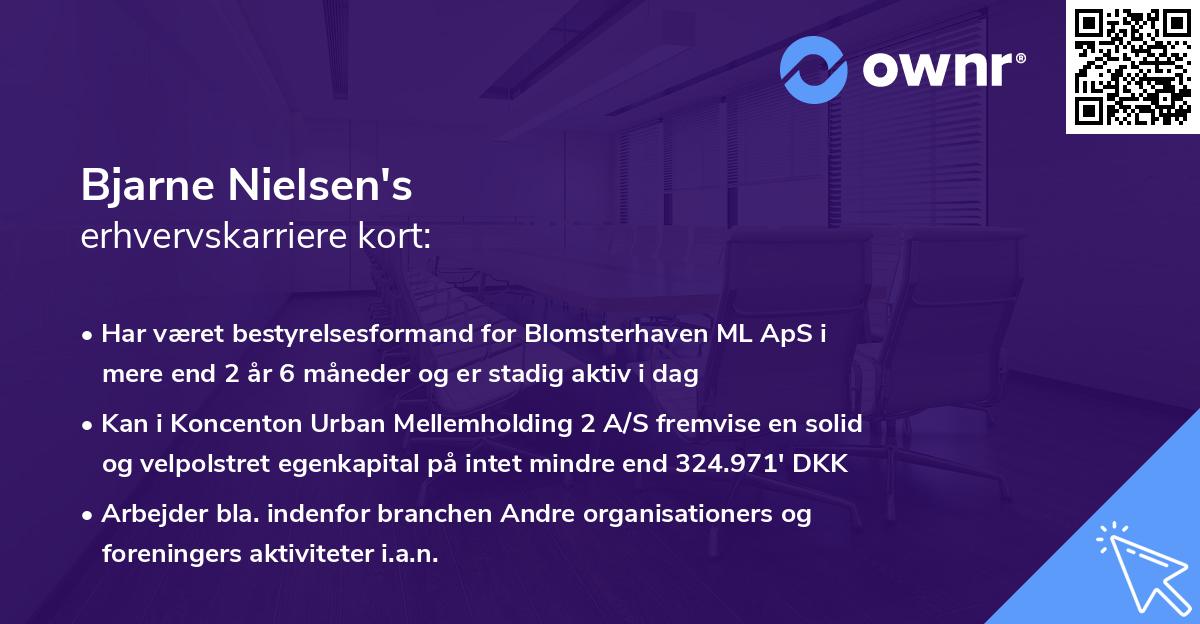 Bjarne Nielsen's erhvervskarriere kort