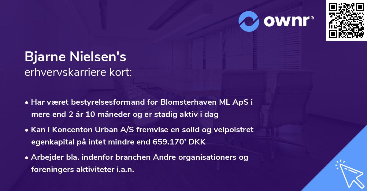 Bjarne Nielsen's erhvervskarriere kort