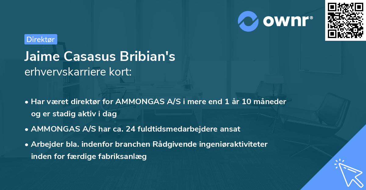 Jaime Casasus Bribian's erhvervskarriere kort