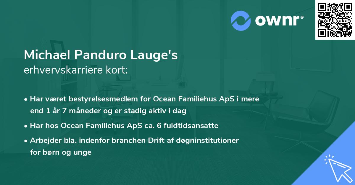 Michael Panduro Lauge's erhvervskarriere kort