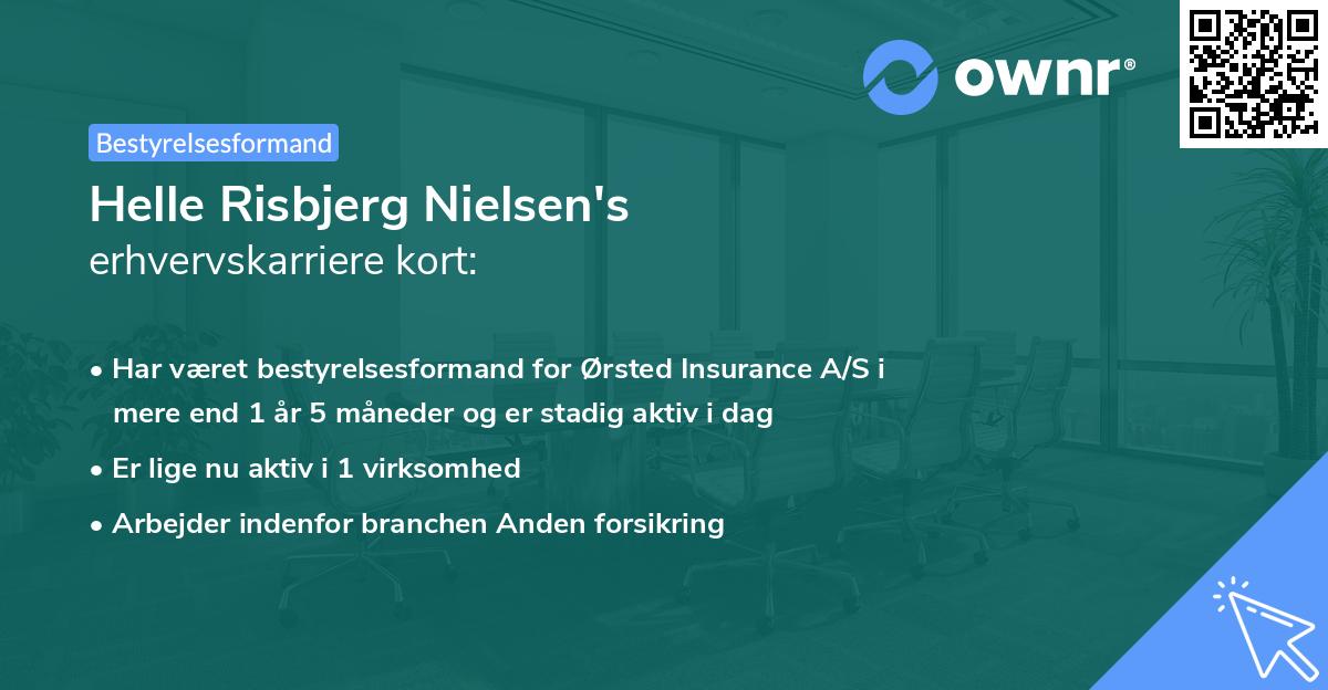 Helle Risbjerg Nielsen's erhvervskarriere kort