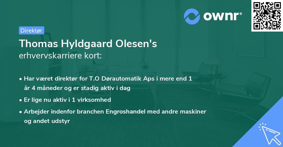 Thomas Hyldgaard Olesen's erhvervskarriere kort