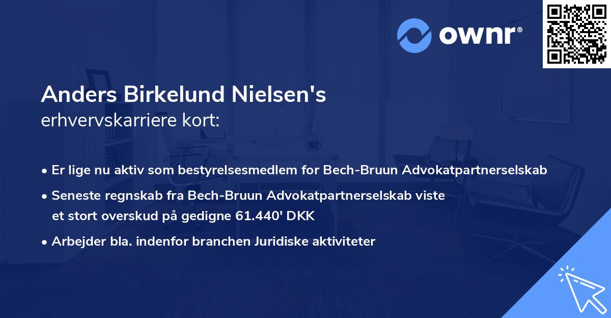 Anders Birkelund Nielsen's erhvervskarriere kort