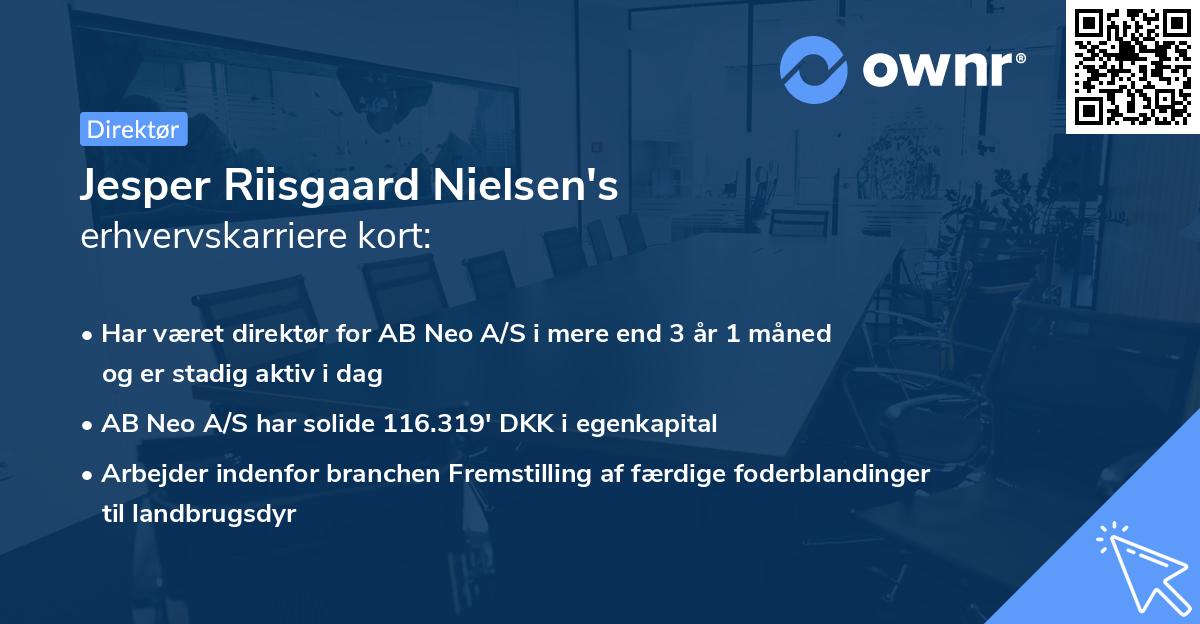 Jesper Riisgaard Nielsen's erhvervskarriere kort