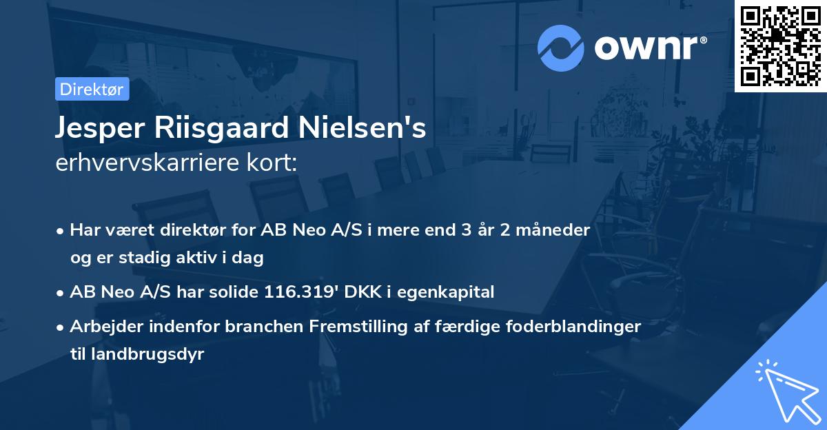 Jesper Riisgaard Nielsen's erhvervskarriere kort