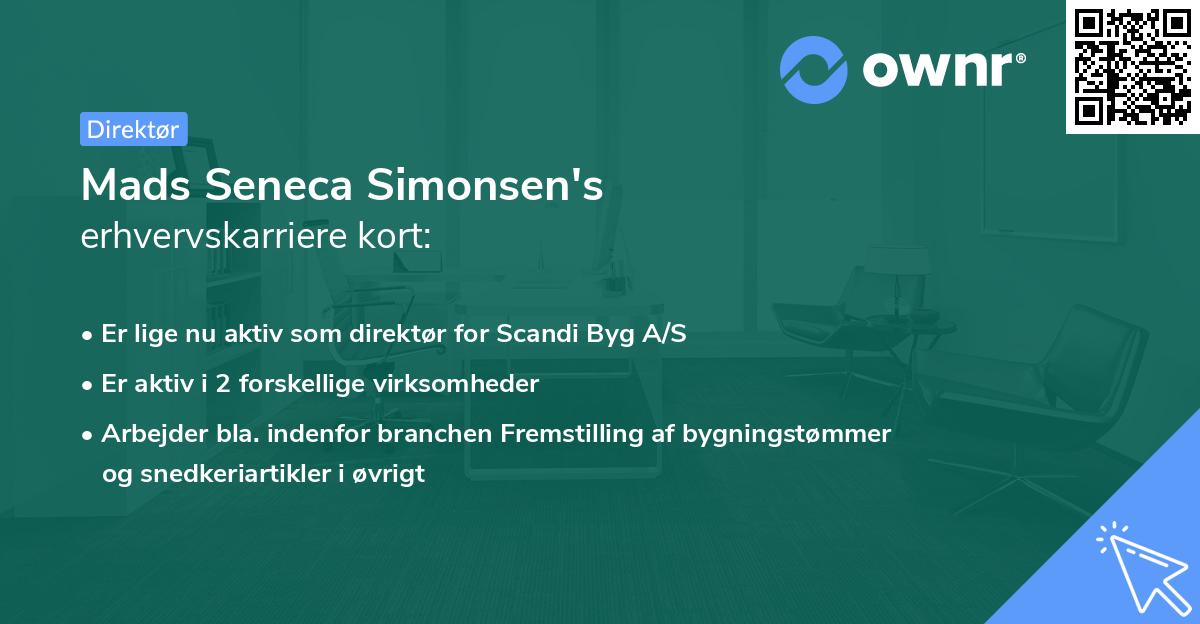 Mads Seneca Simonsen's erhvervskarriere kort