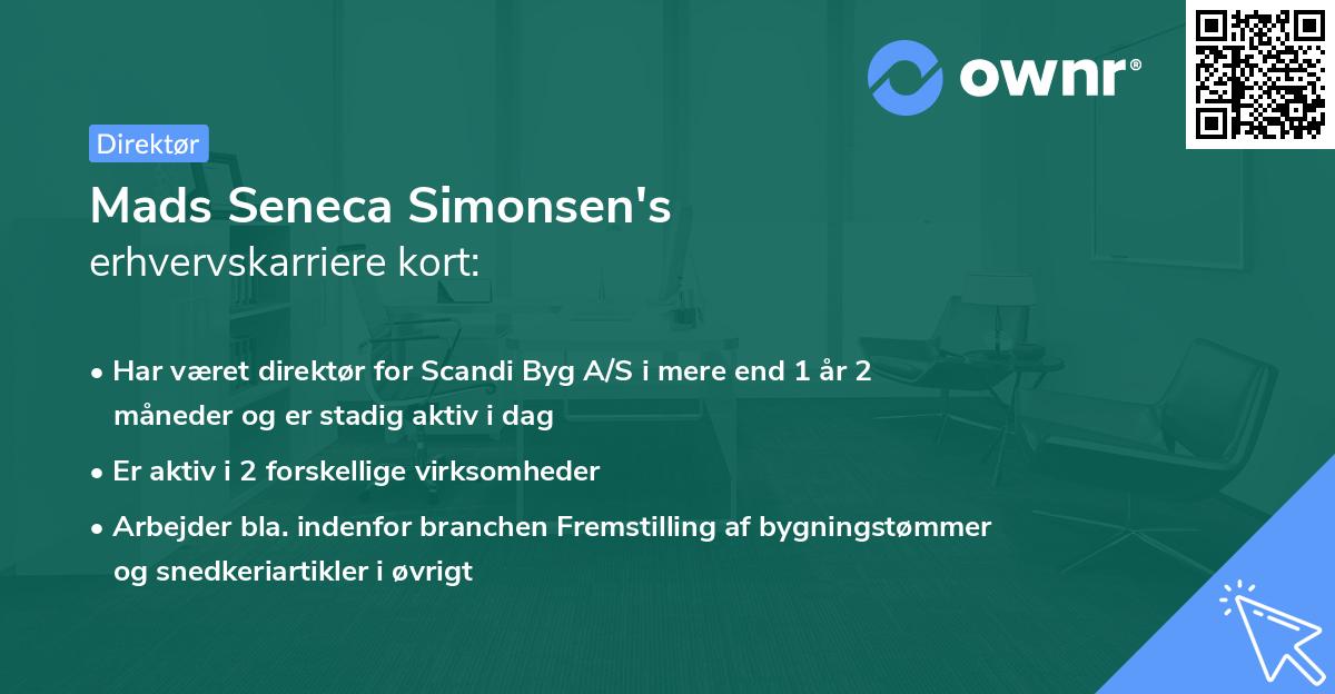 Mads Seneca Simonsen's erhvervskarriere kort
