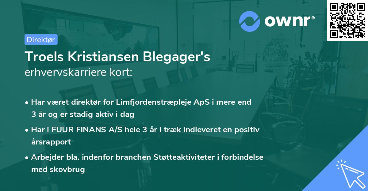 Troels Kristiansen Blegager's erhvervskarriere kort