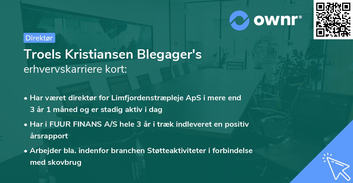 Troels Kristiansen Blegager's erhvervskarriere kort