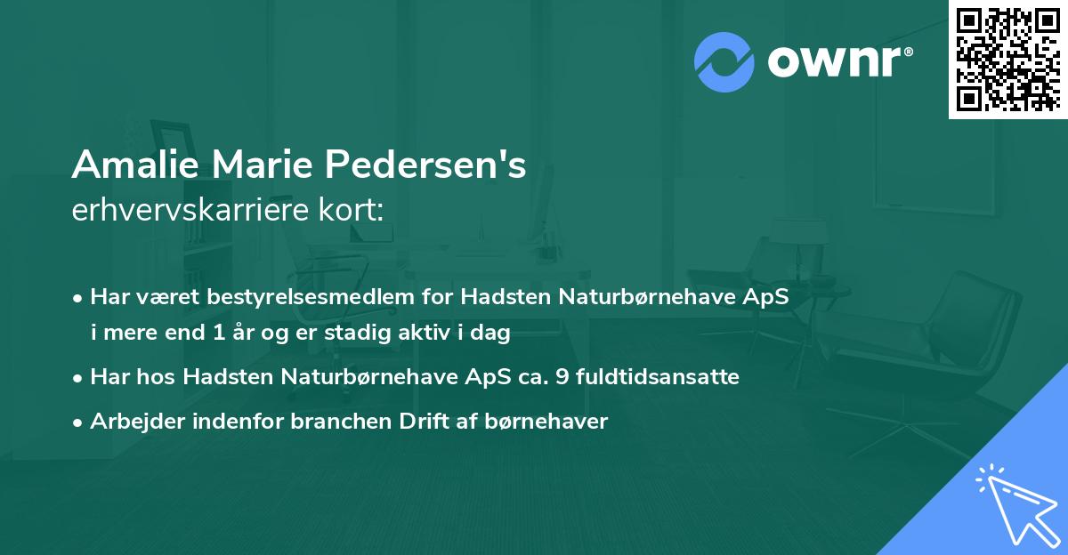 Amalie Marie Pedersen's erhvervskarriere kort