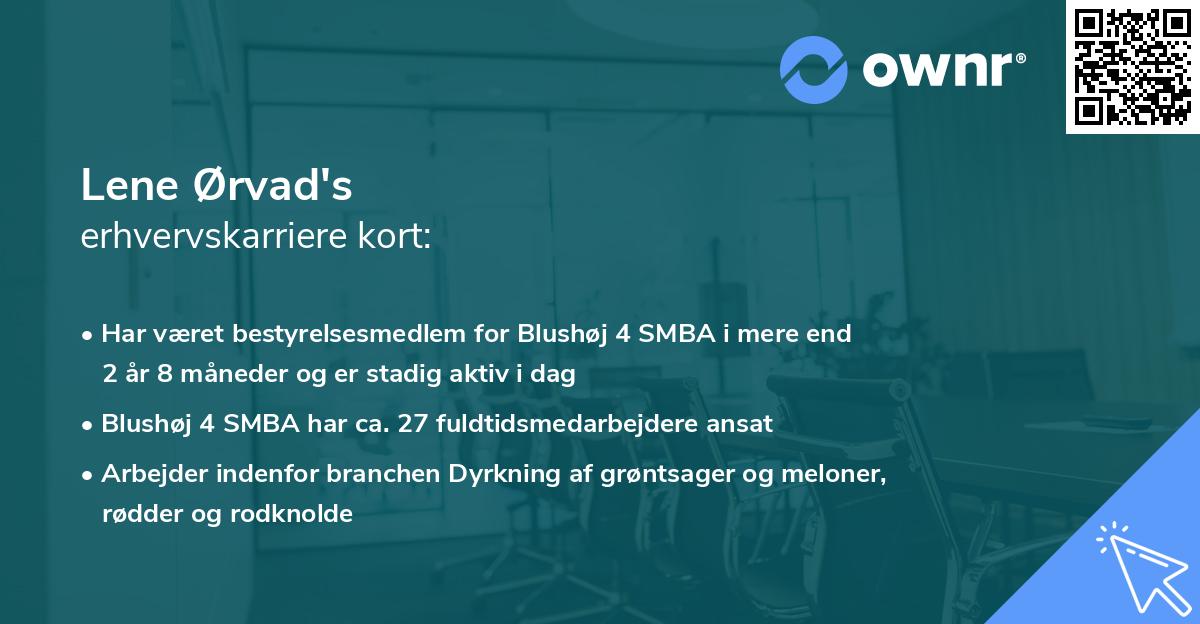 Lene Ørvad's erhvervskarriere kort