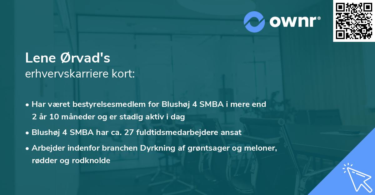 Lene Ørvad's erhvervskarriere kort