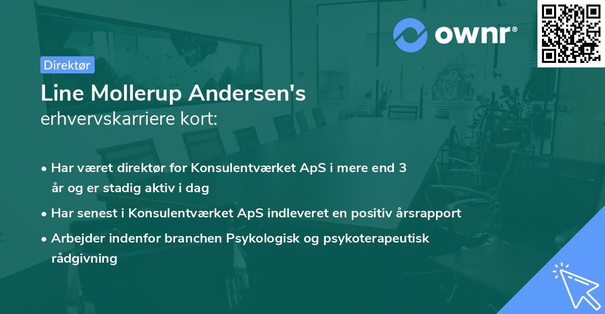 Line Mollerup Andersen's erhvervskarriere kort