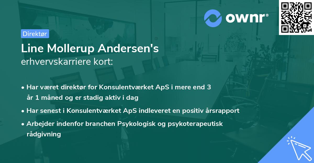 Line Mollerup Andersen's erhvervskarriere kort