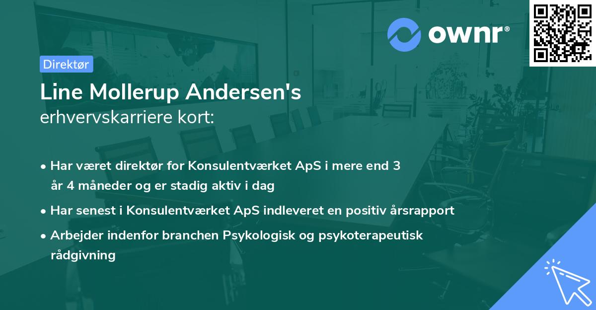 Line Mollerup Andersen's erhvervskarriere kort