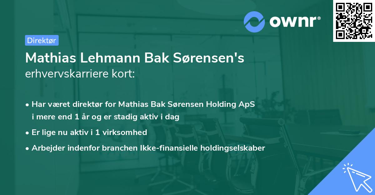 Mathias Lehmann Bak Sørensen's erhvervskarriere kort