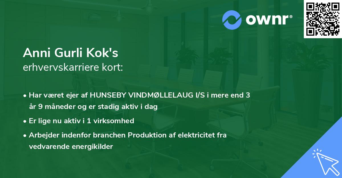 Anni Gurli Kok's erhvervskarriere kort