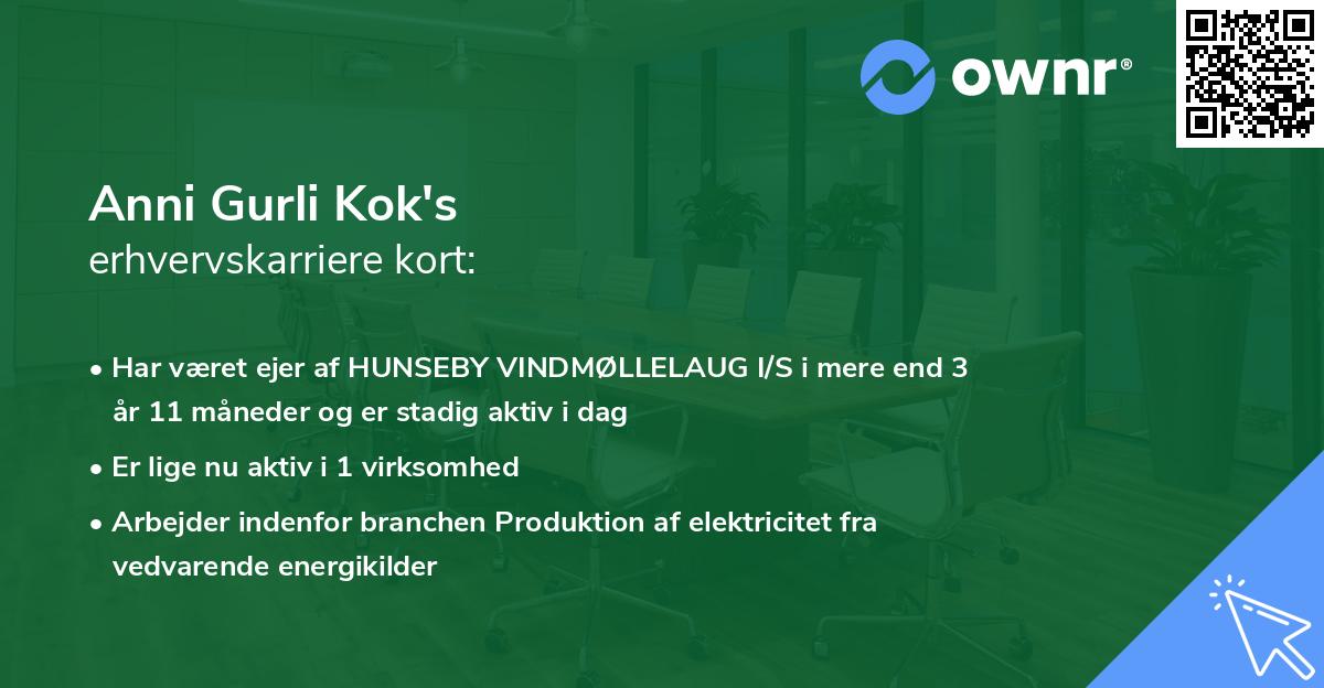 Anni Gurli Kok's erhvervskarriere kort