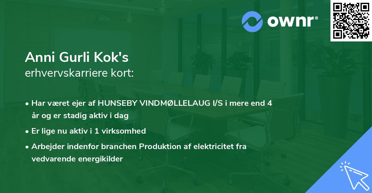 Anni Gurli Kok's erhvervskarriere kort