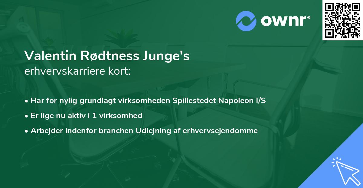 Valentin Rødtness Junge's erhvervskarriere kort