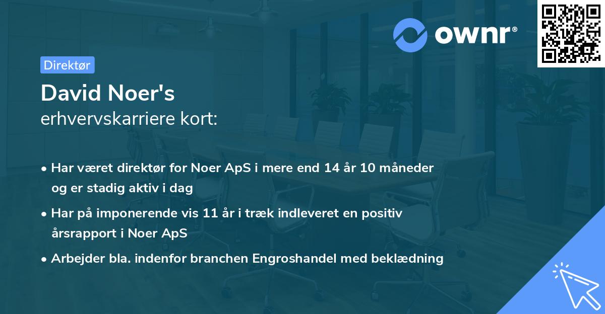 David Noer's erhvervskarriere kort