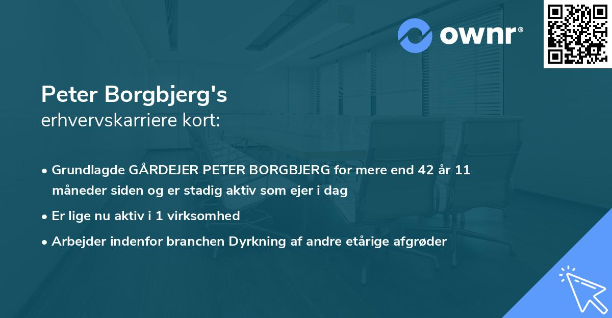 Peter Borgbjerg's erhvervskarriere kort