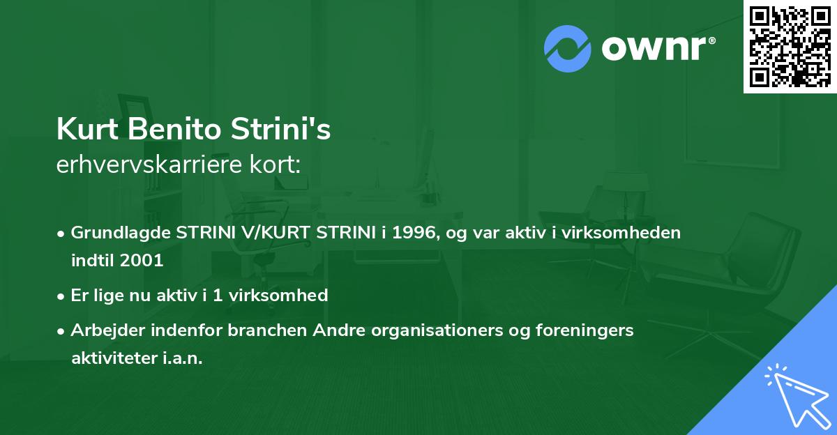 Kurt Benito Strini's erhvervskarriere kort