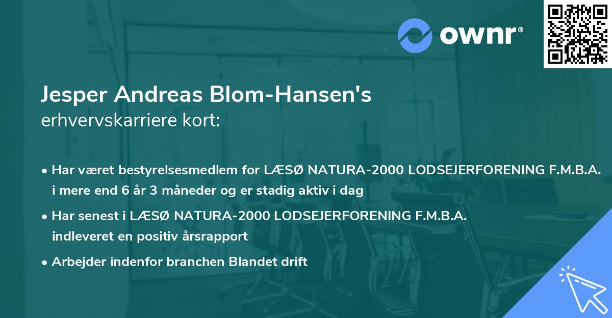 Jesper Andreas Blom-Hansen's erhvervskarriere kort