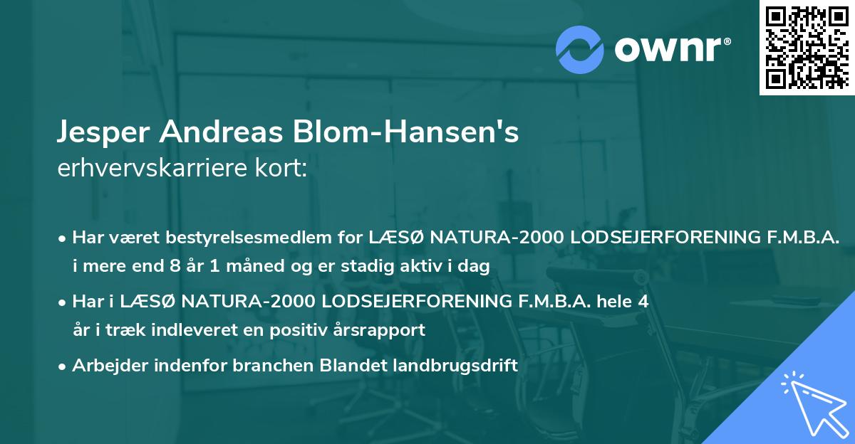 Jesper Andreas Blom-Hansen's erhvervskarriere kort