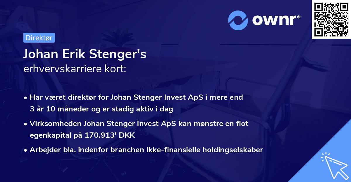 Johan Erik Stenger's erhvervskarriere kort