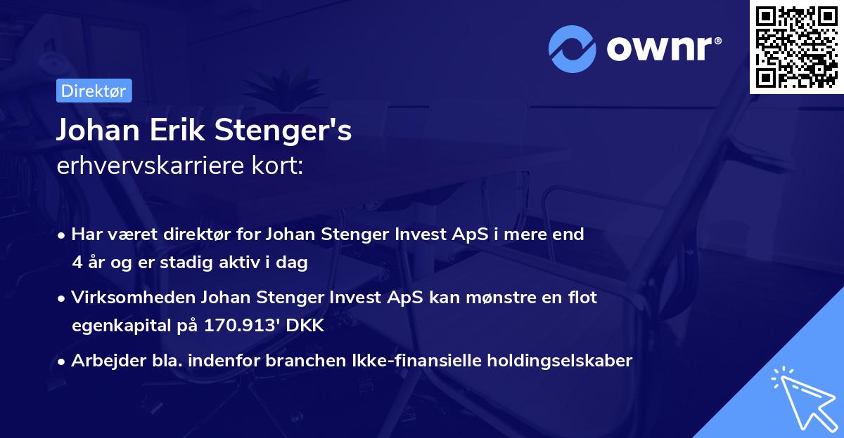 Johan Erik Stenger's erhvervskarriere kort
