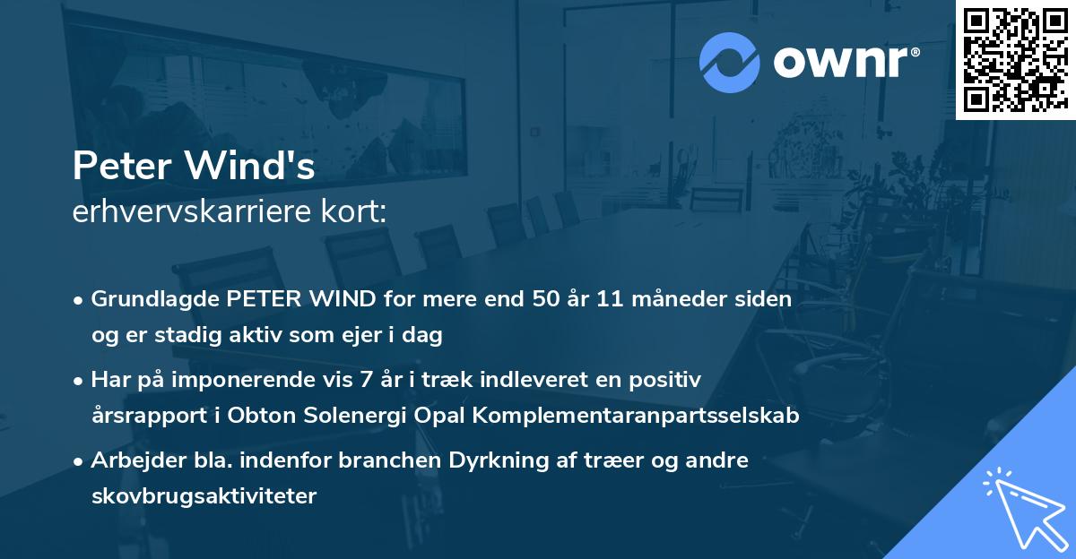 Peter Wind's erhvervskarriere kort