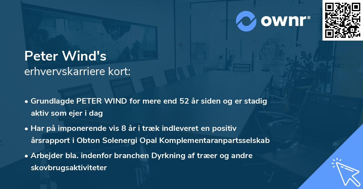 Peter Wind's erhvervskarriere kort