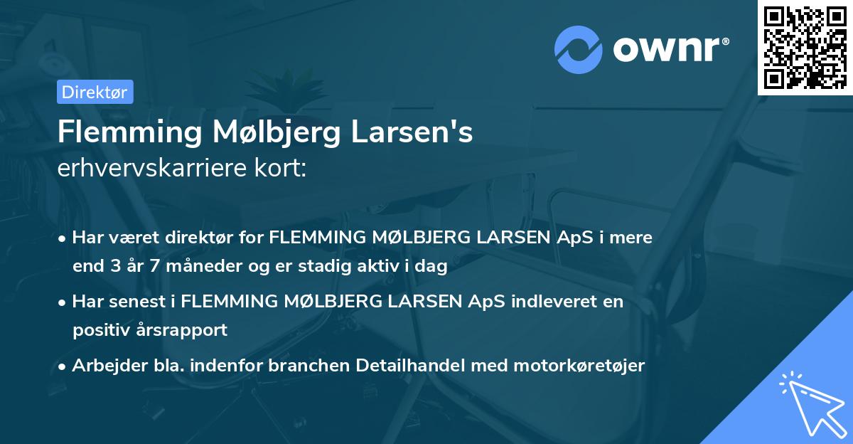 Flemming Mølbjerg Larsen's erhvervskarriere kort