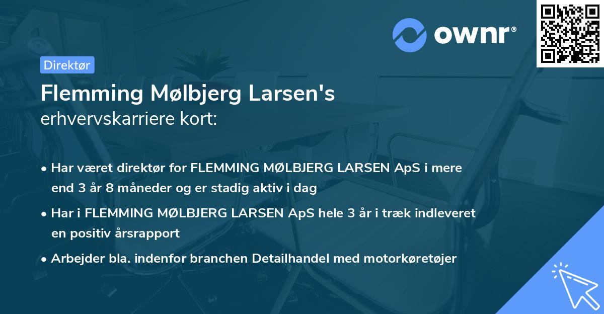 Flemming Mølbjerg Larsen's erhvervskarriere kort