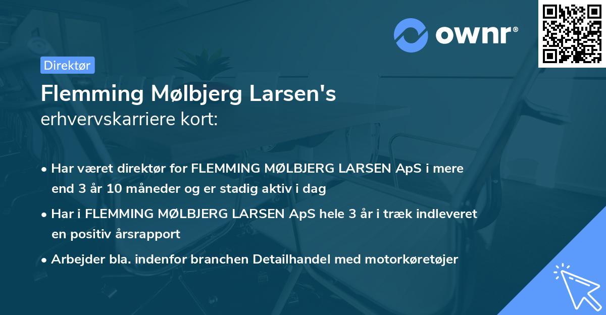 Flemming Mølbjerg Larsen's erhvervskarriere kort