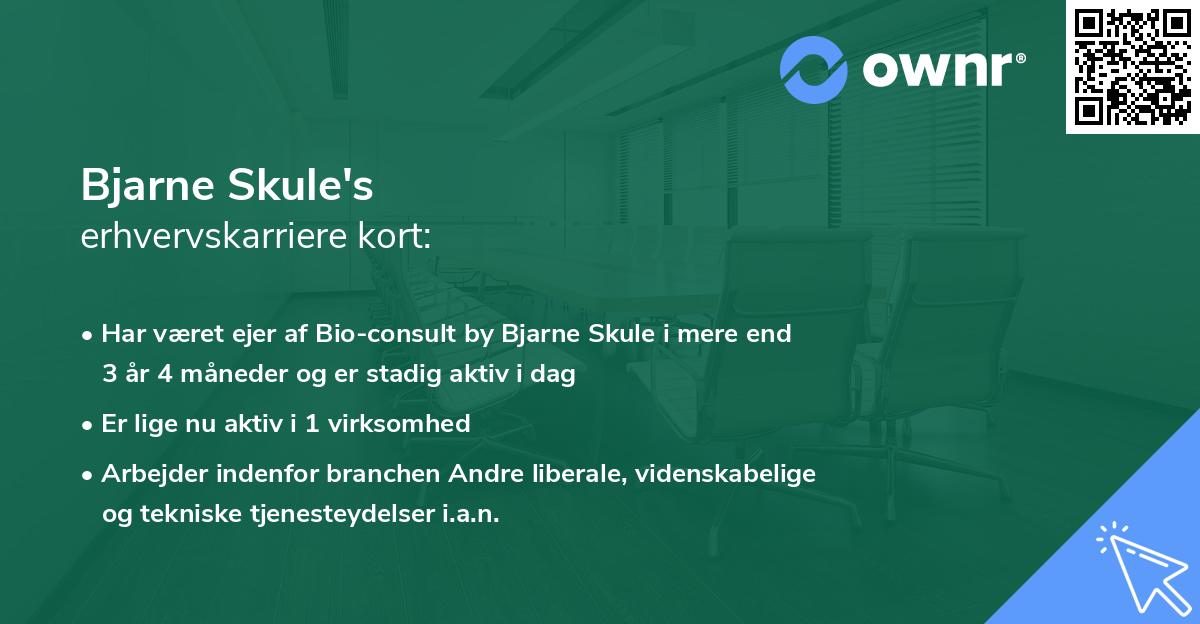Bjarne Skule's erhvervskarriere kort