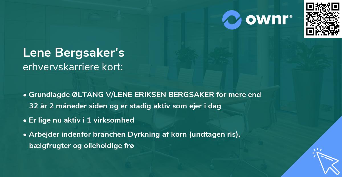 Lene Bergsaker's erhvervskarriere kort