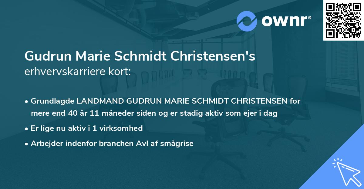 Gudrun Marie Schmidt Christensen's erhvervskarriere kort