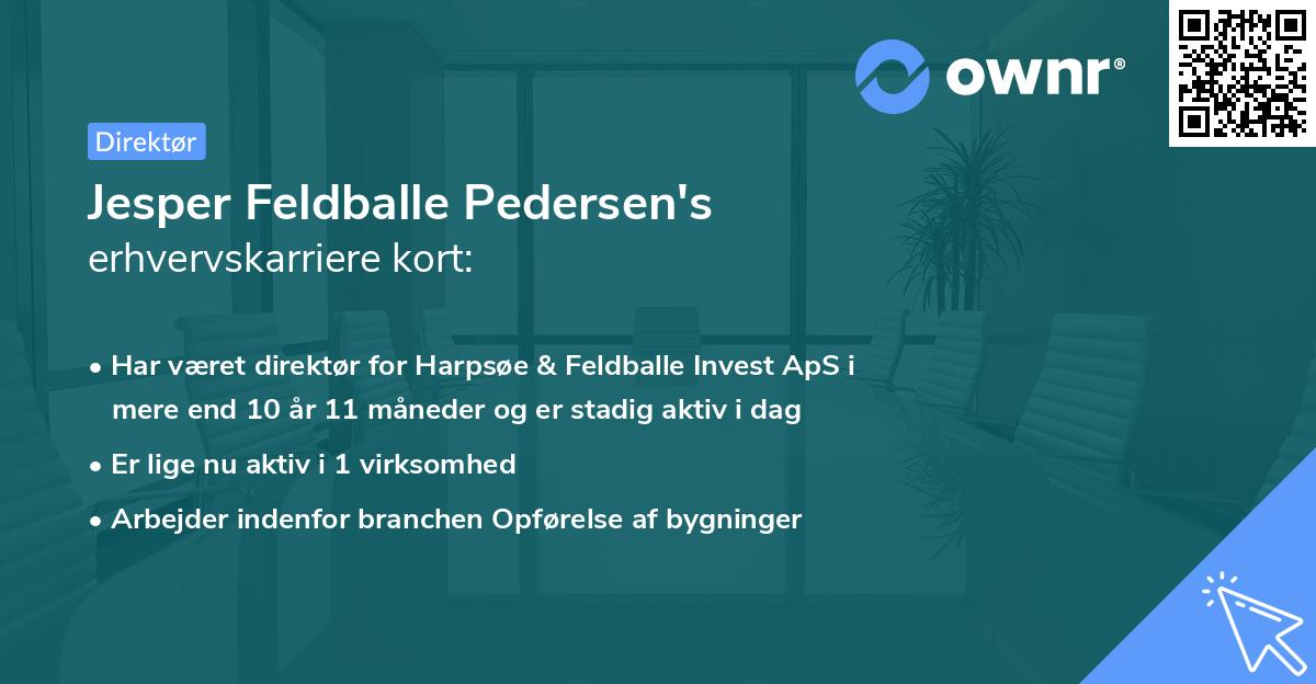 Jesper Feldballe Pedersen's erhvervskarriere kort
