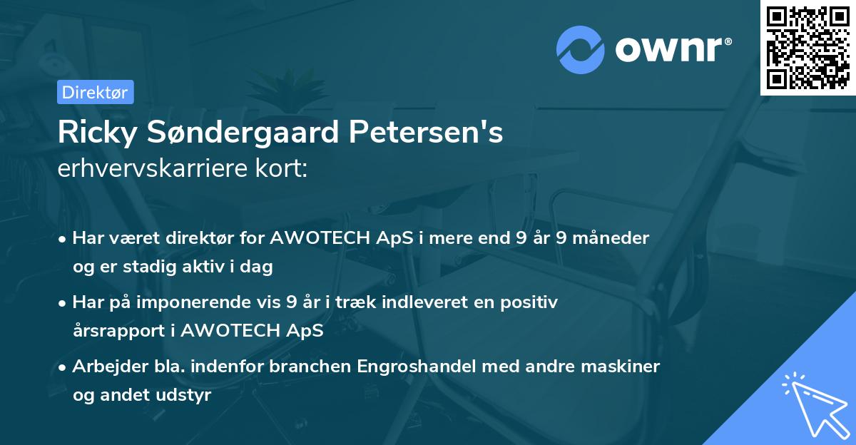 Ricky Søndergaard Petersen's erhvervskarriere kort