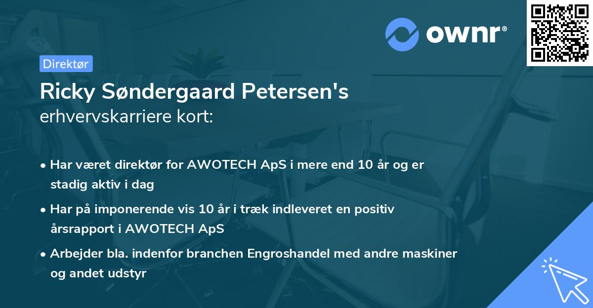 Ricky Søndergaard Petersen's erhvervskarriere kort