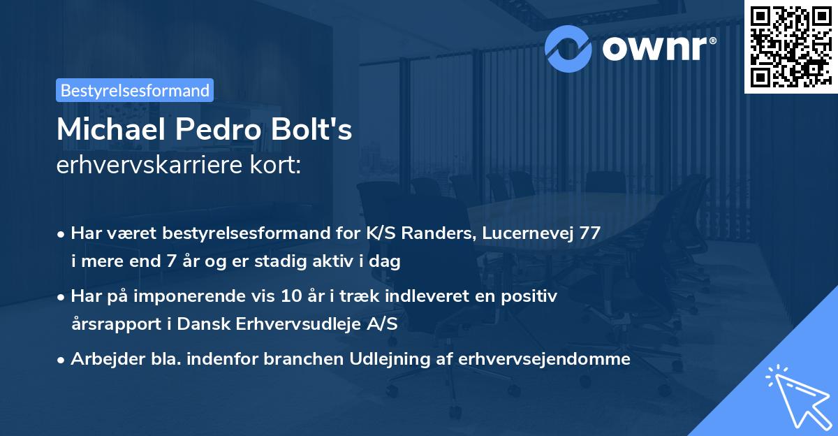 Michael Pedro Bolt's erhvervskarriere kort
