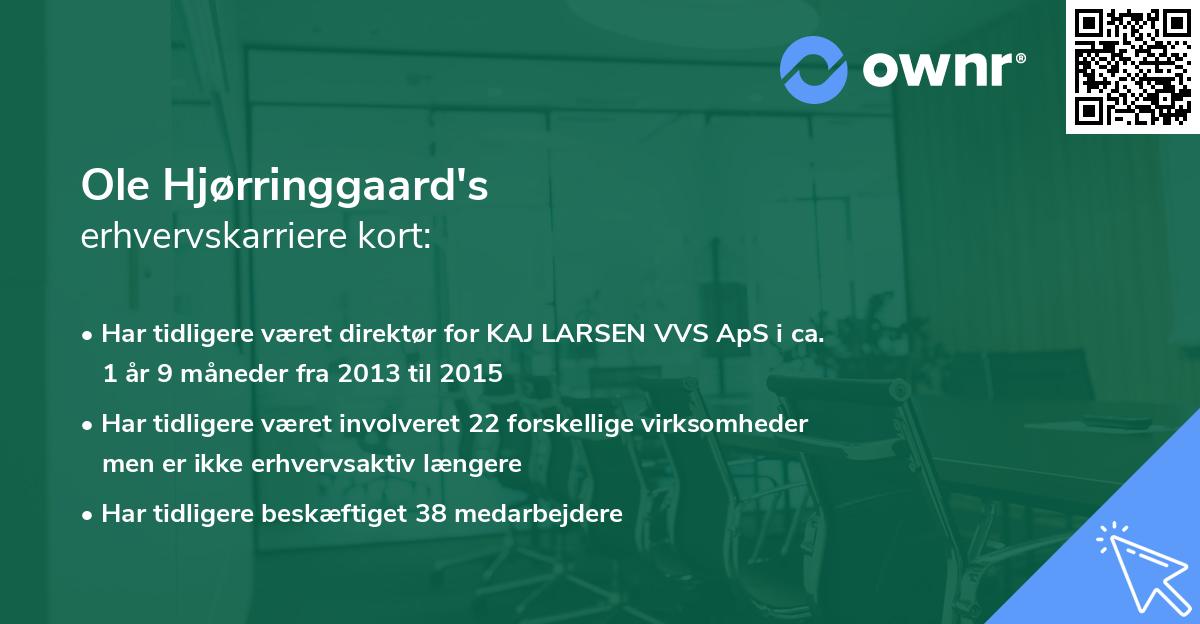 Ole Hjørringgaard's erhvervskarriere kort