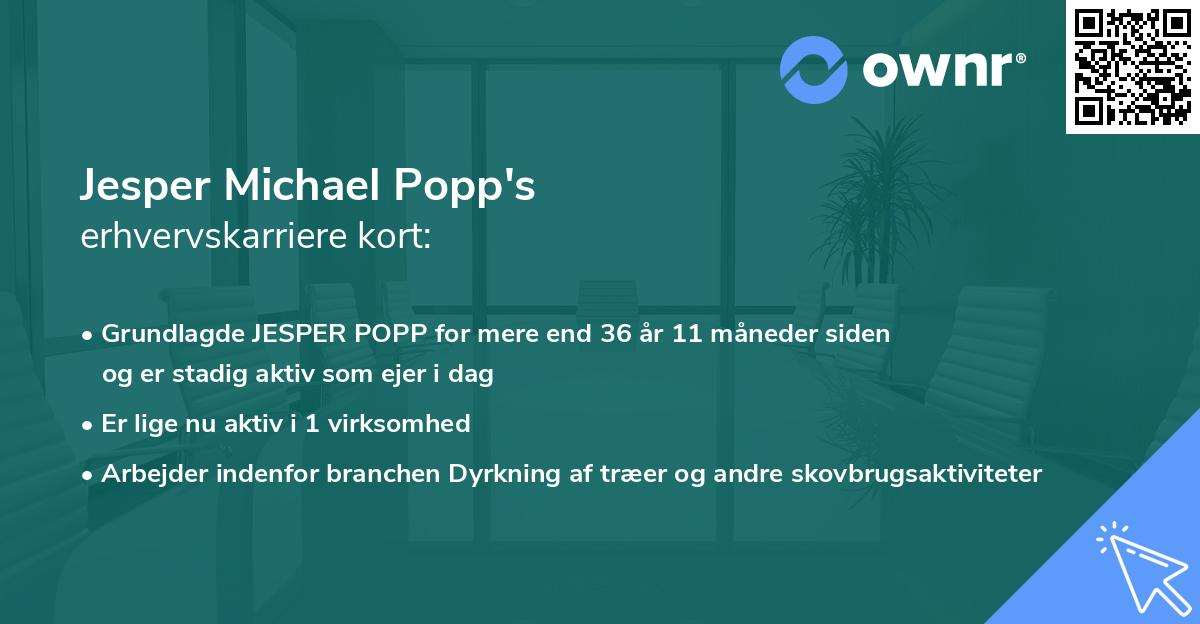 Jesper Michael Popp's erhvervskarriere kort