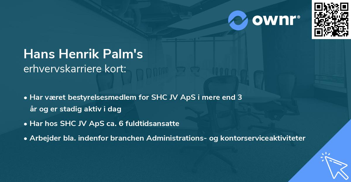 Hans Henrik Palm's erhvervskarriere kort