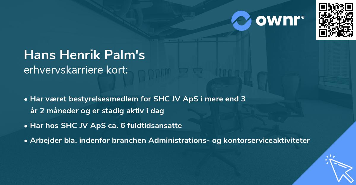 Hans Henrik Palm's erhvervskarriere kort