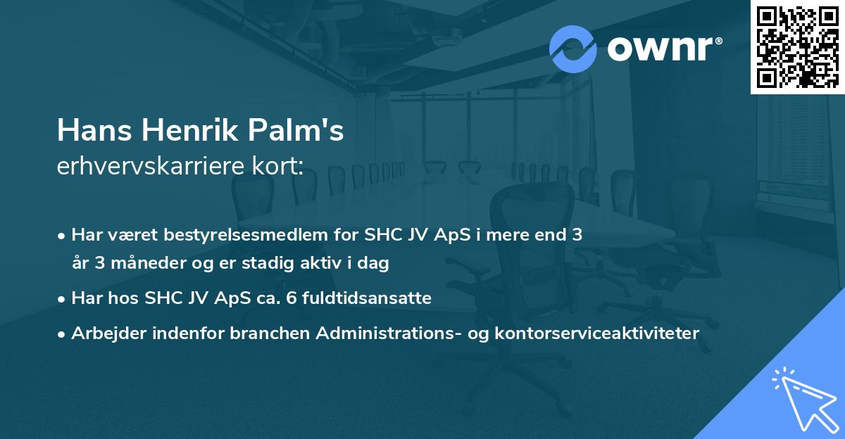 Hans Henrik Palm's erhvervskarriere kort