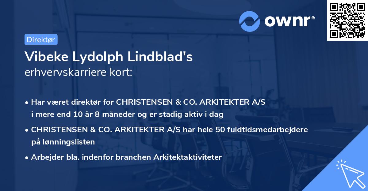 Vibeke Lydolph Lindblad's erhvervskarriere kort