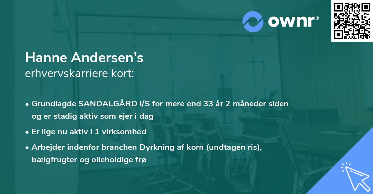 Hanne Andersen's erhvervskarriere kort